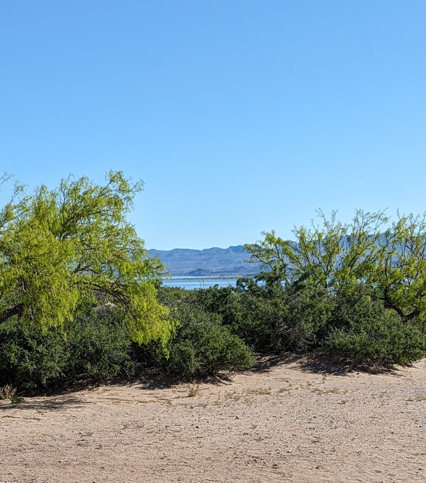 Desert Cove Campground
