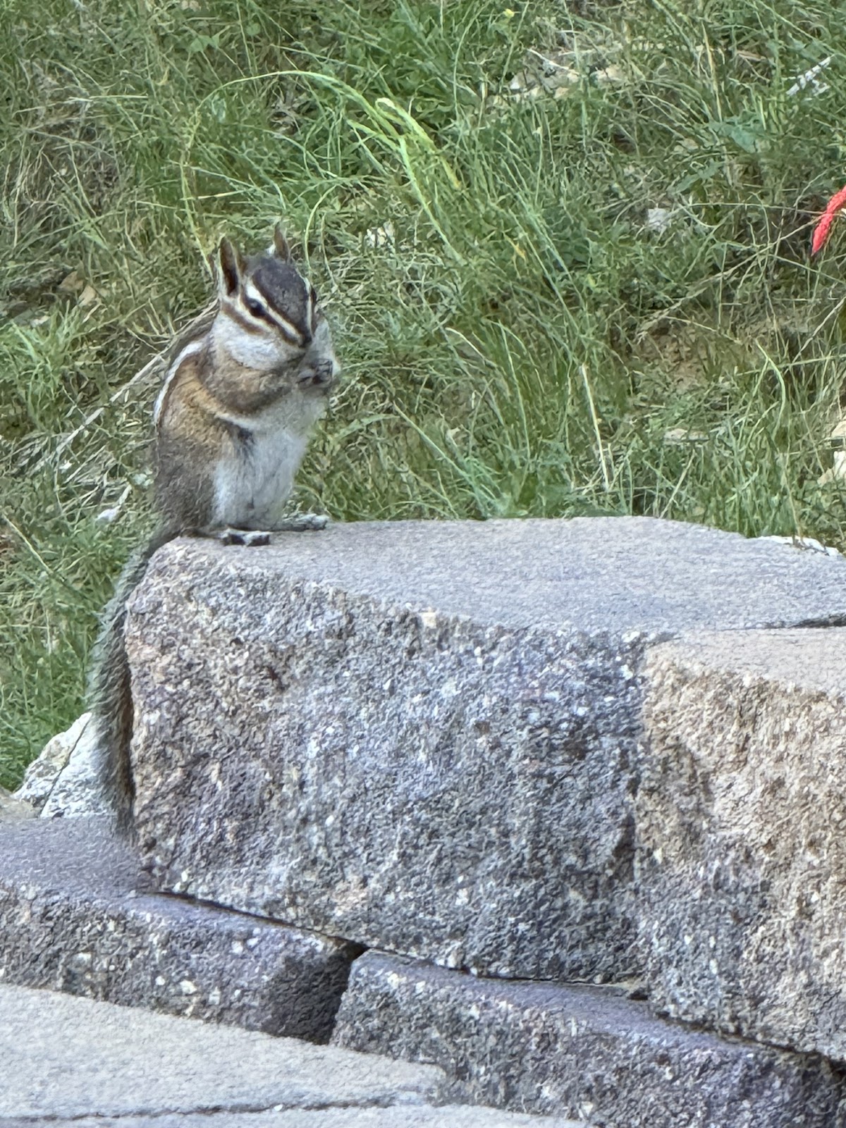 Scenic Canyon RV Park