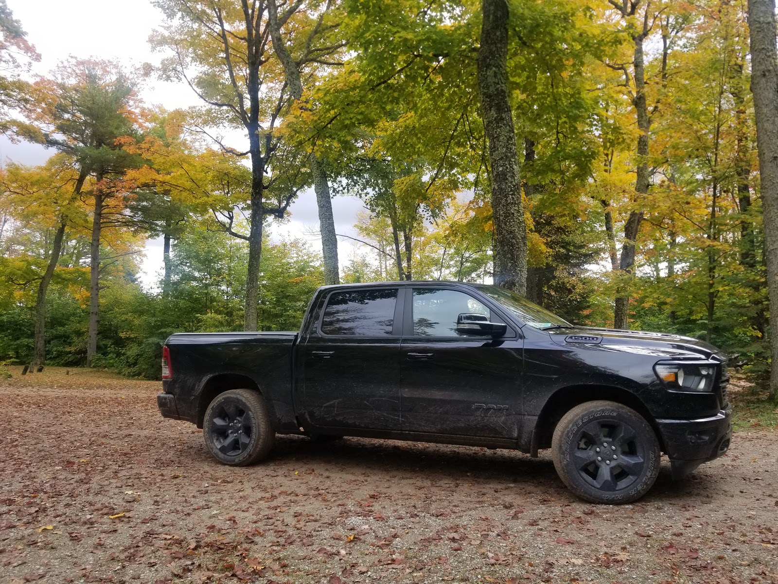 Ross Lake SF Campground