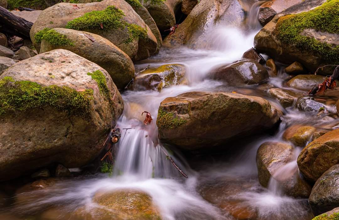 Uvas Canyon County Park
