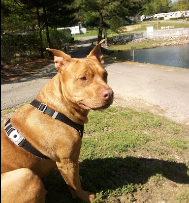 Mill Pond Village RV Park