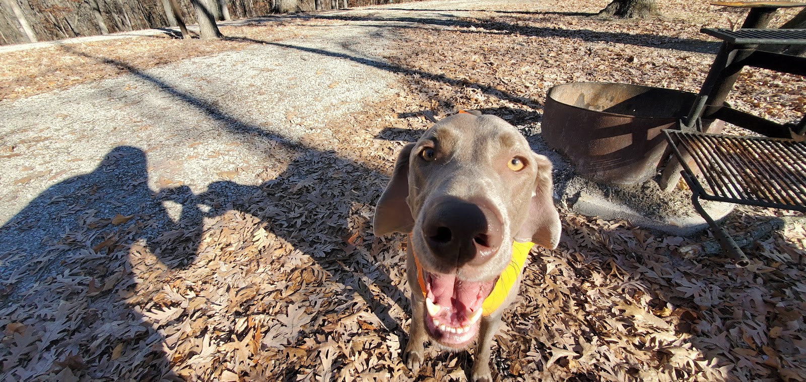 Bitternut Lake Campground