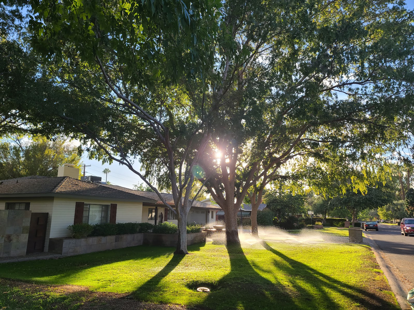 Grant Village Campground