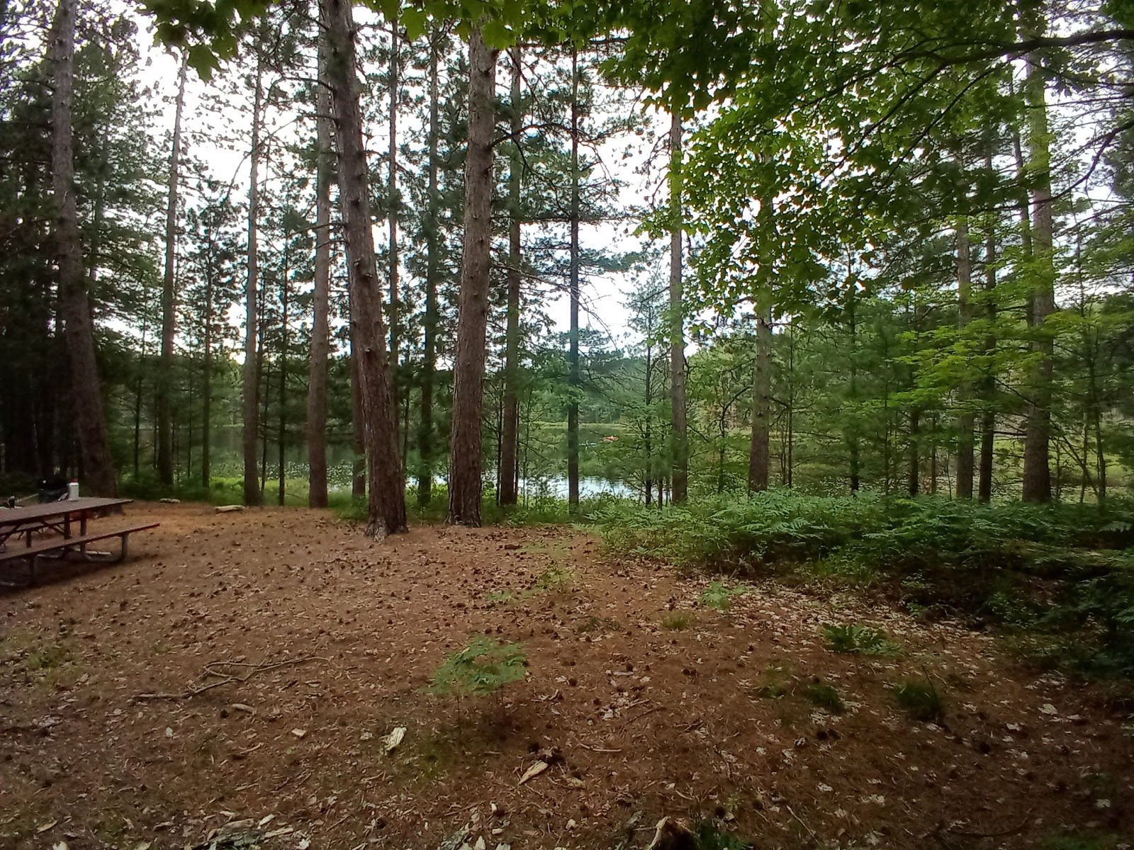 Round Lake SF Campground