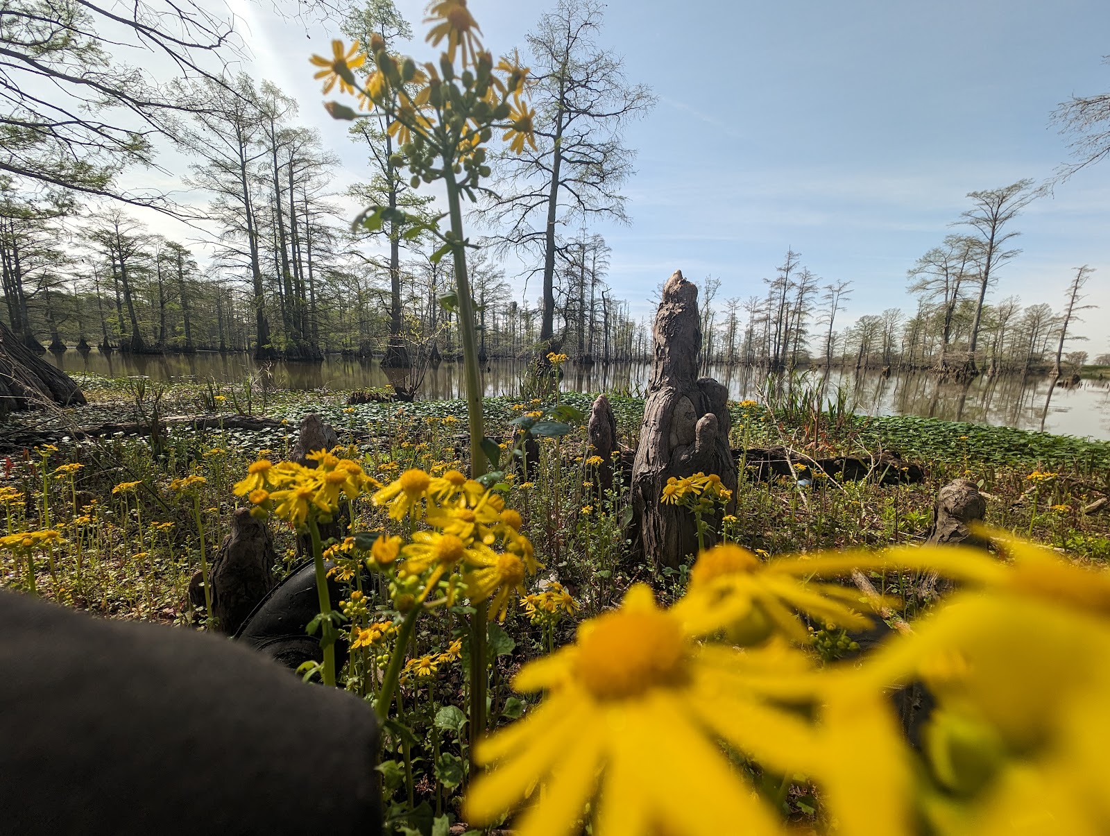 Horseshoe Lake State Fish and Wildlife