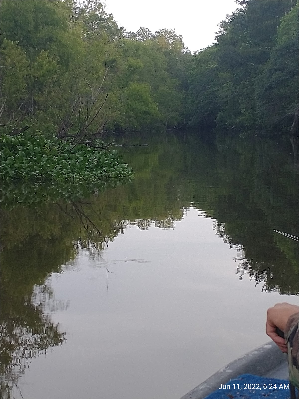 Hickory Landing and Hunt Camp