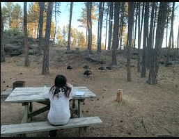 Lake Hiddenwood Recreation Area