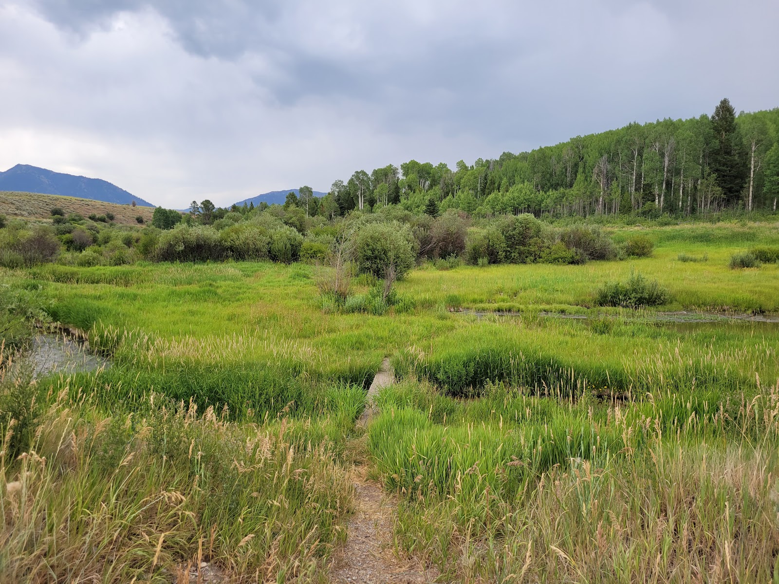 Flat Creek RV Park & Cabins