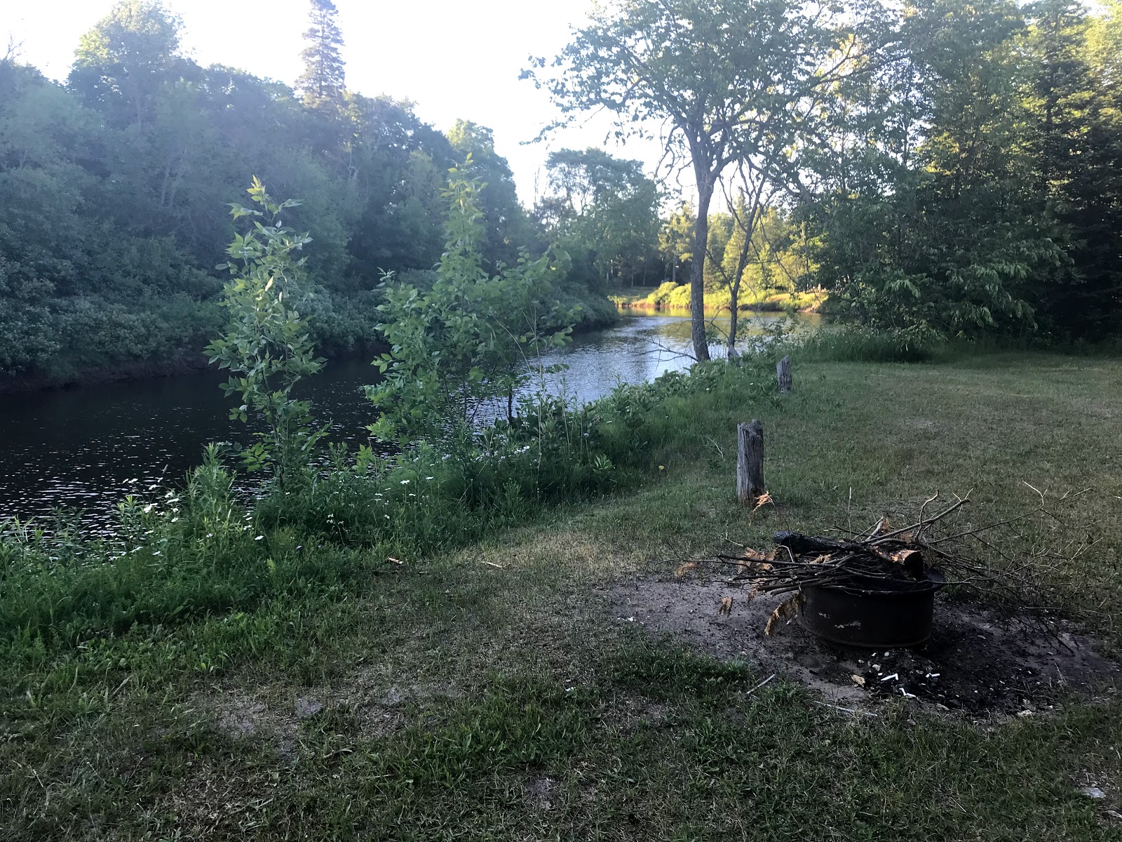 Merwin Creek SF Campground