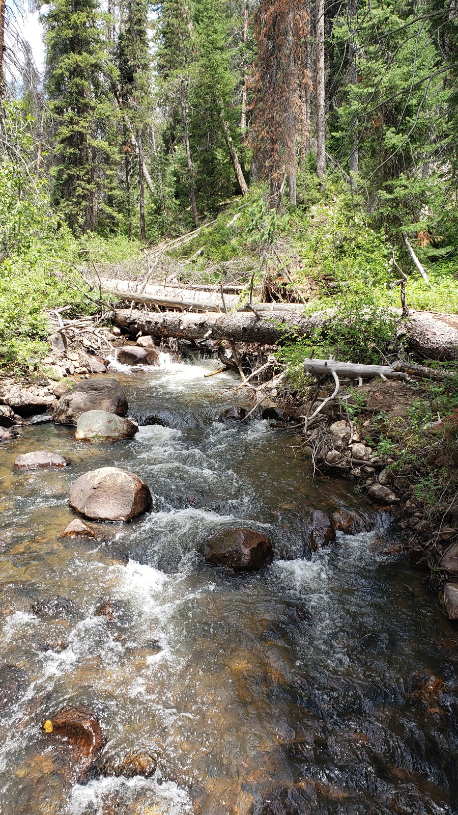 Taylors Fork ATV Campground