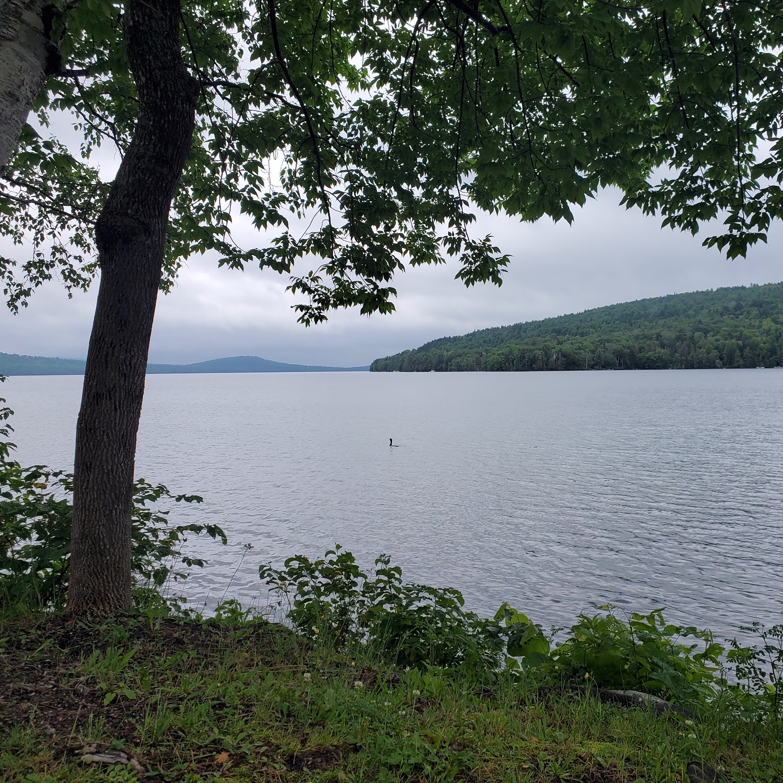 Birch Point Campground