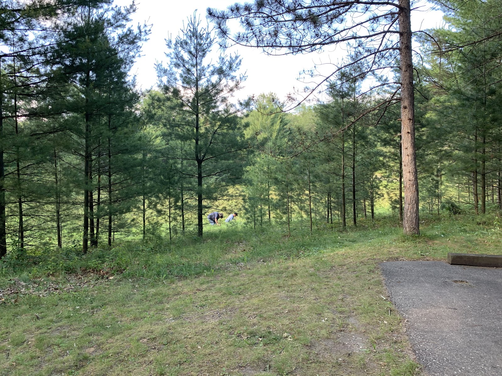 Round Lake Campground