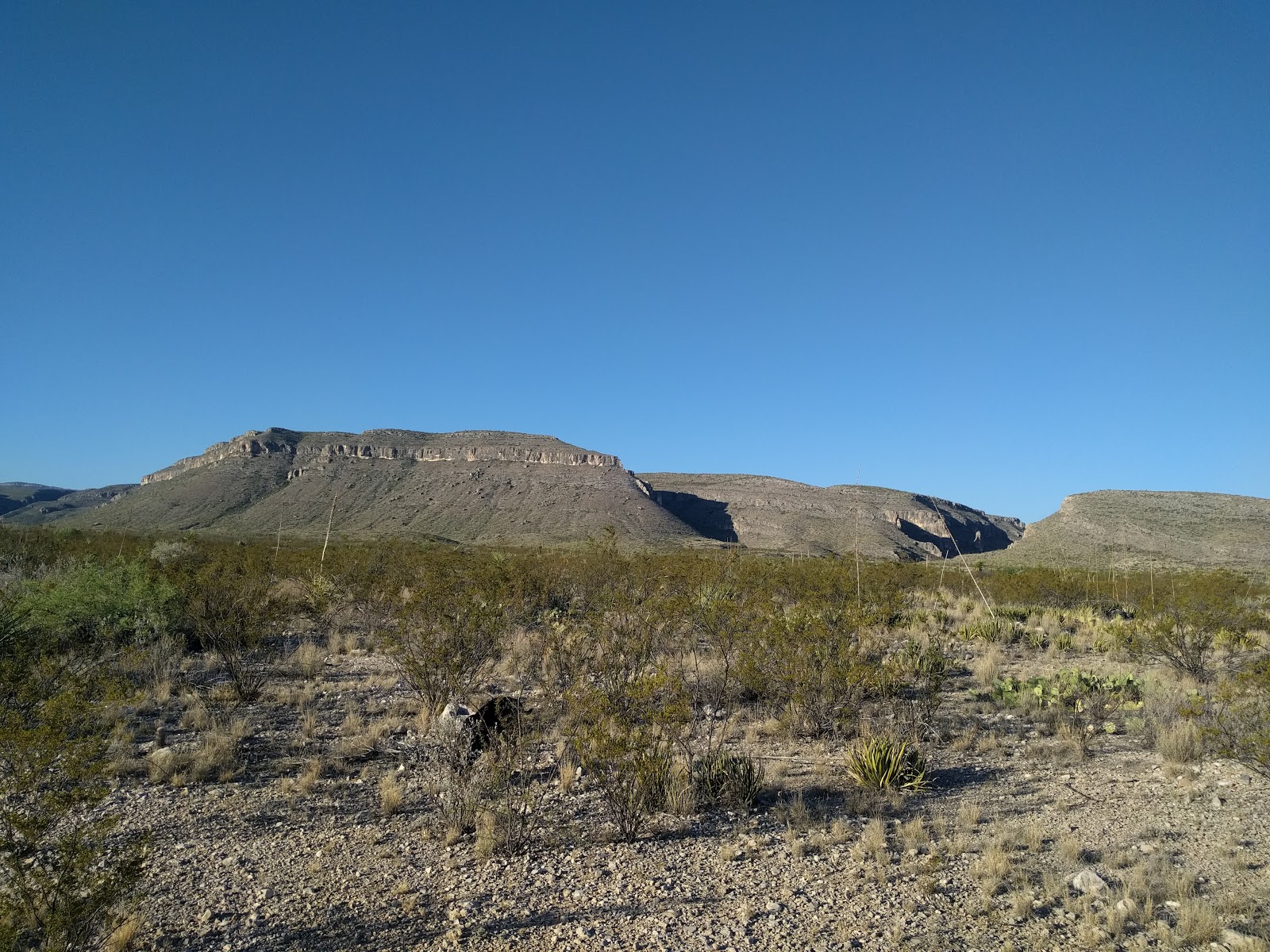 Stillwell Store & RV park