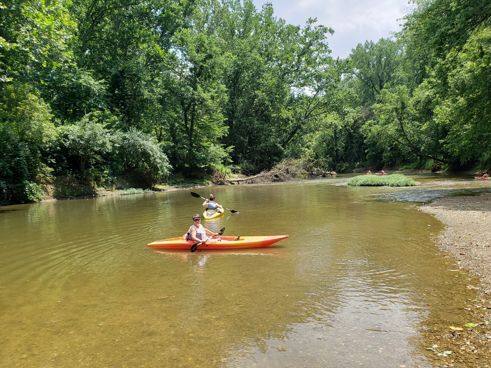 Constitution County Park Camping