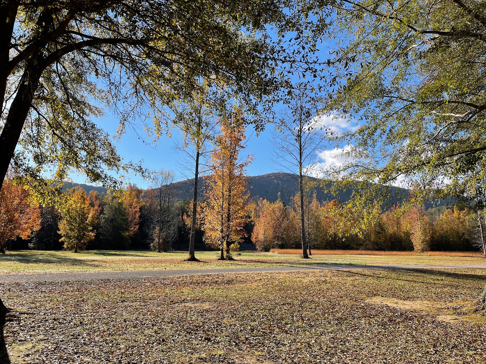 Chief Ladiga Trail Campground