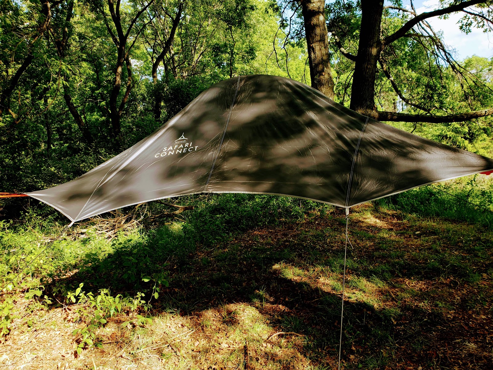 Royal Oaks Legendary Lodging