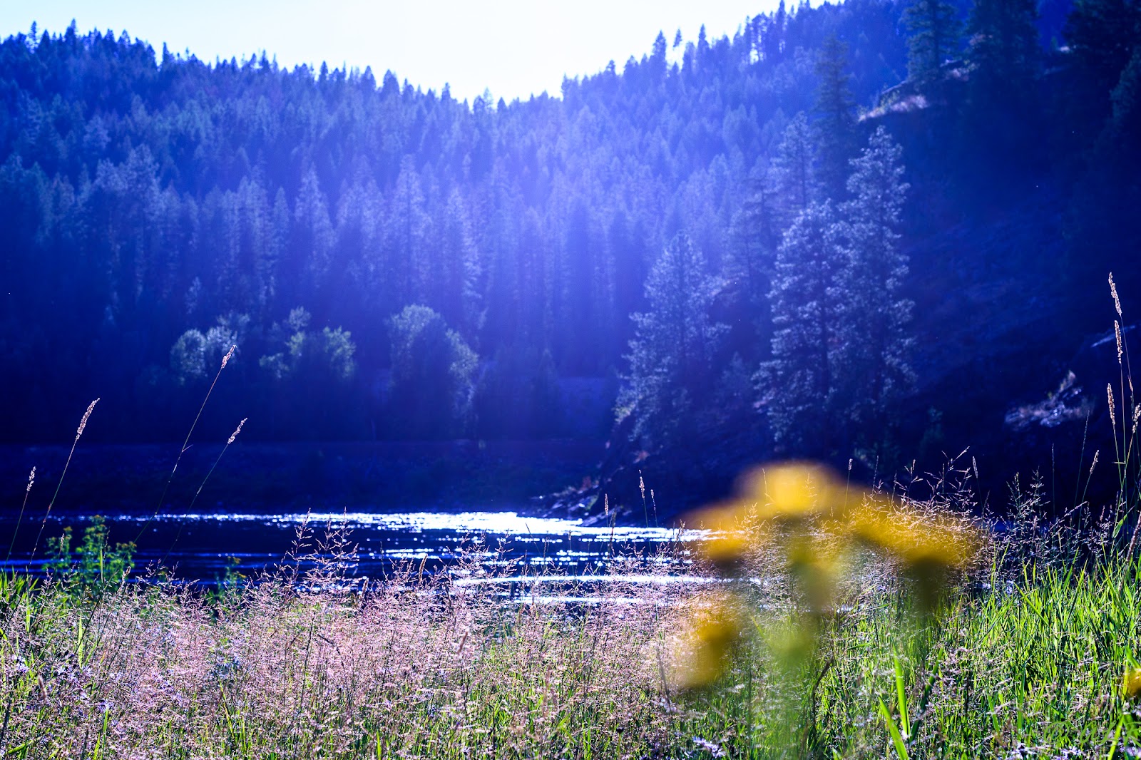 Dorr Skeels Campground