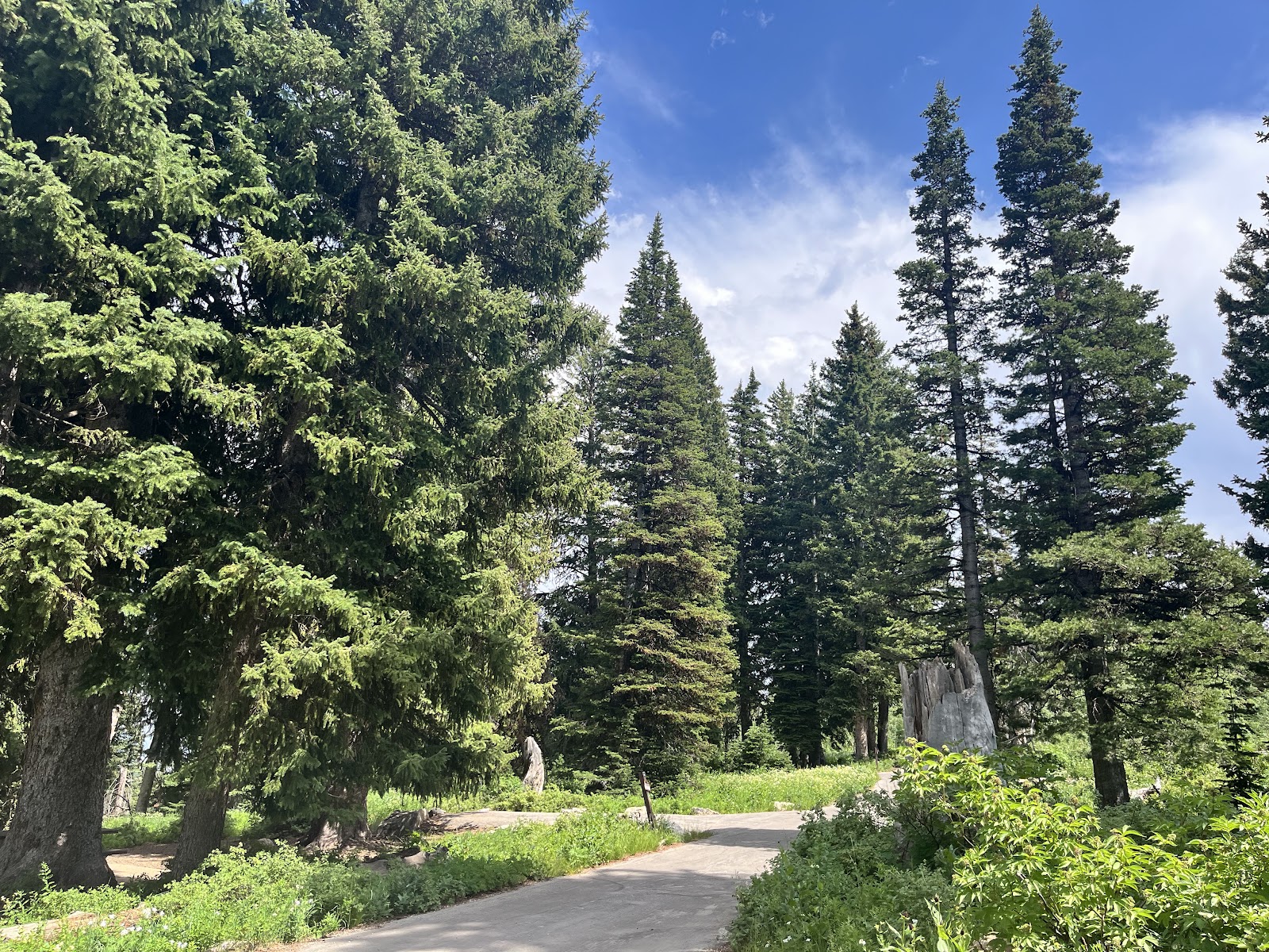 Monte Cristo Campground