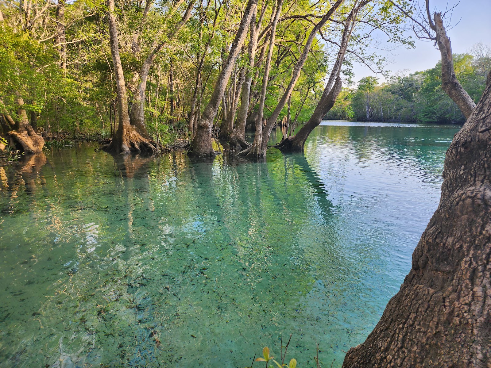 Cotton Landing Campground
