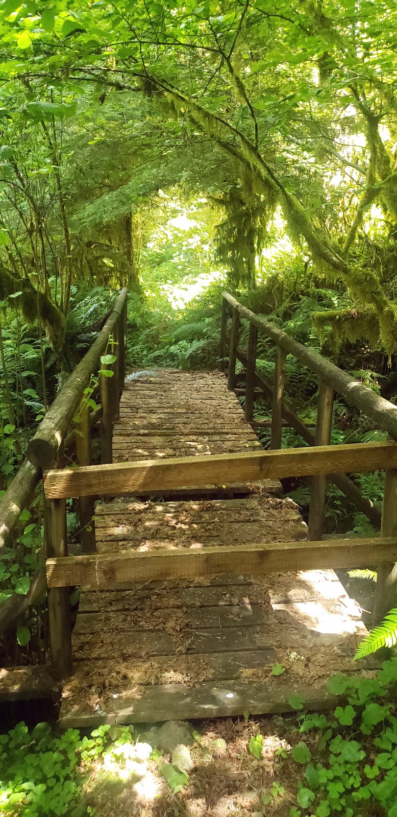 Elkhorn Valley and Canyon Creek Rec Site