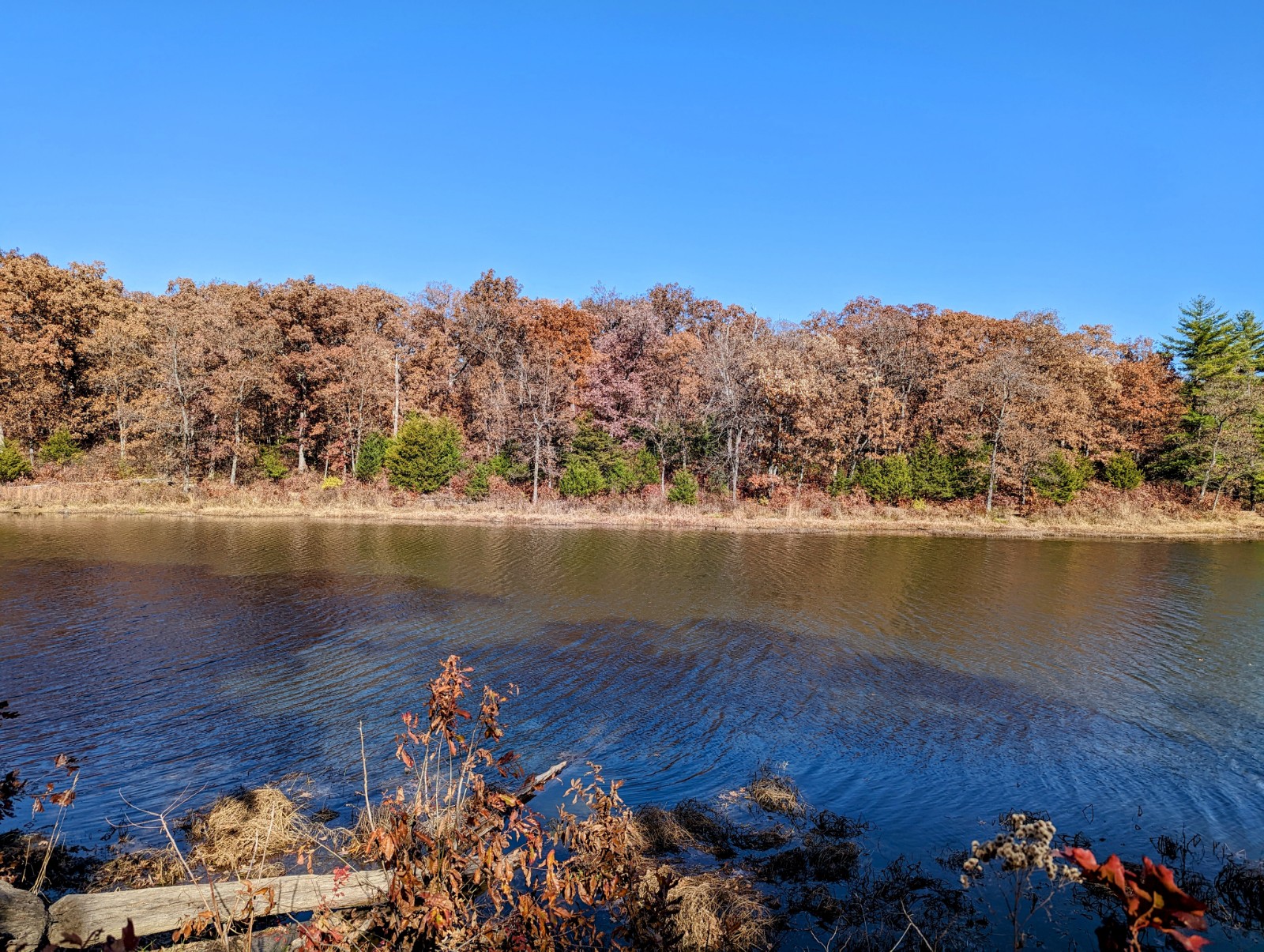 Knob Noster State Park