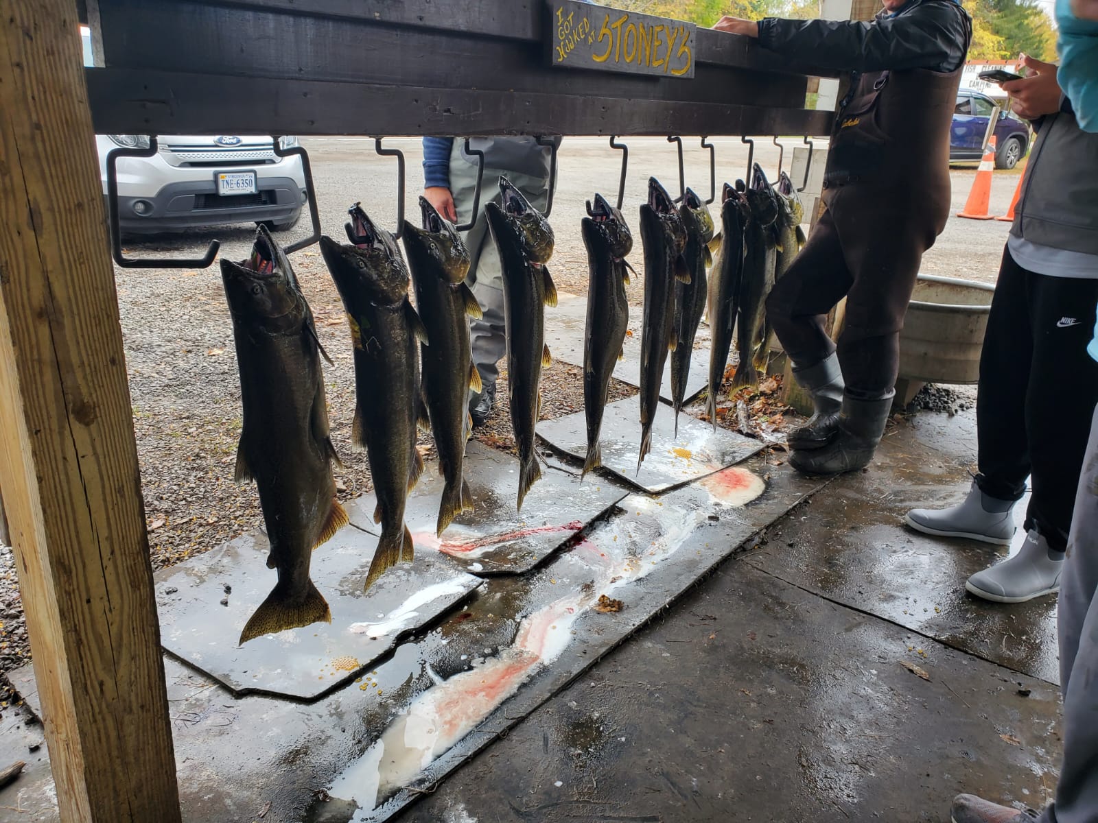 Stoney's Pineville RV Park