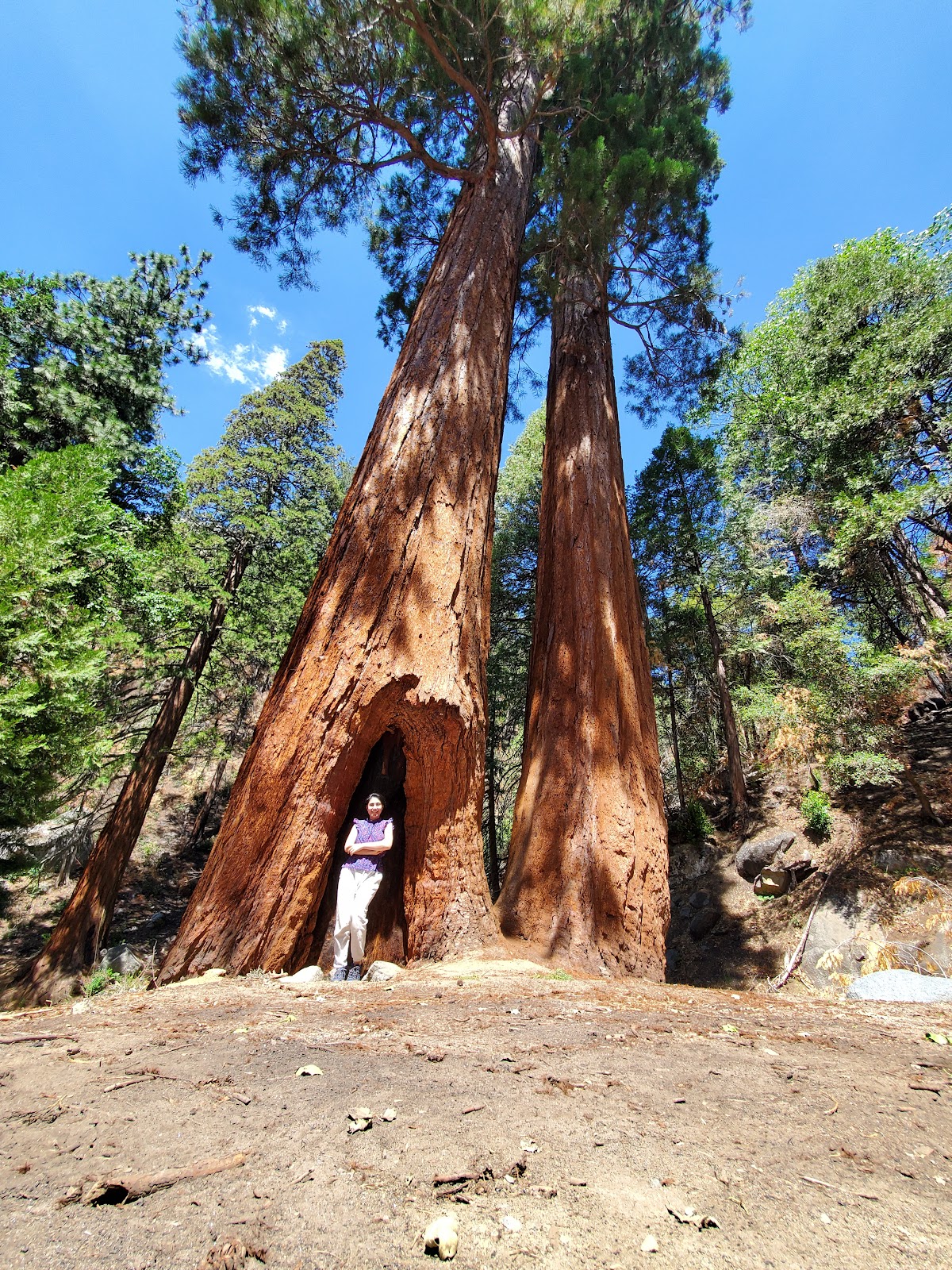 Cold Springs Campground (CA)