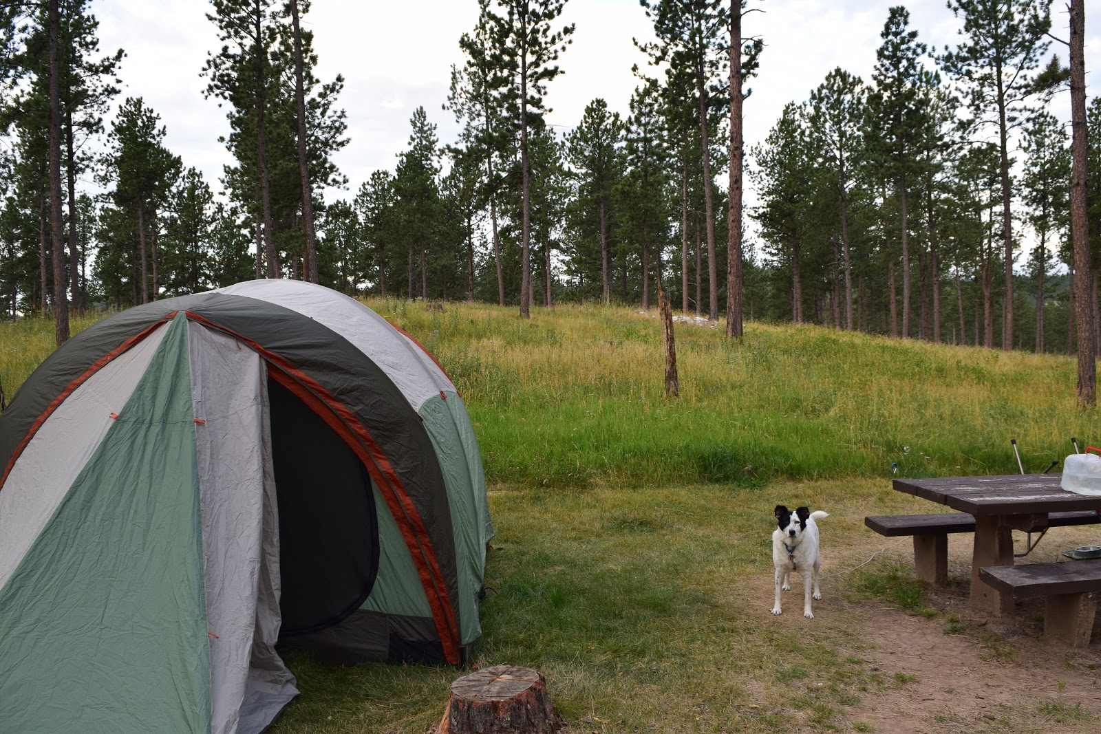 Comanche Park Campground