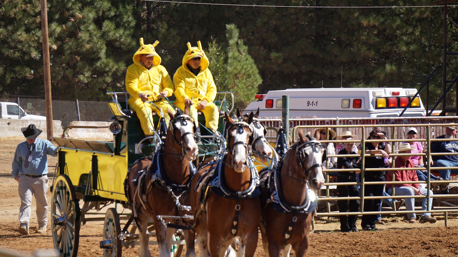 Nevada County Fairgrounds RV Park