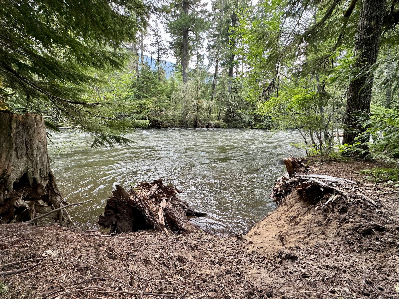 Adams Fork Campground