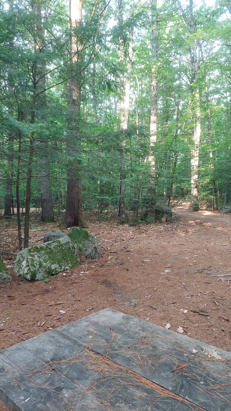 Wolfeboro Campground