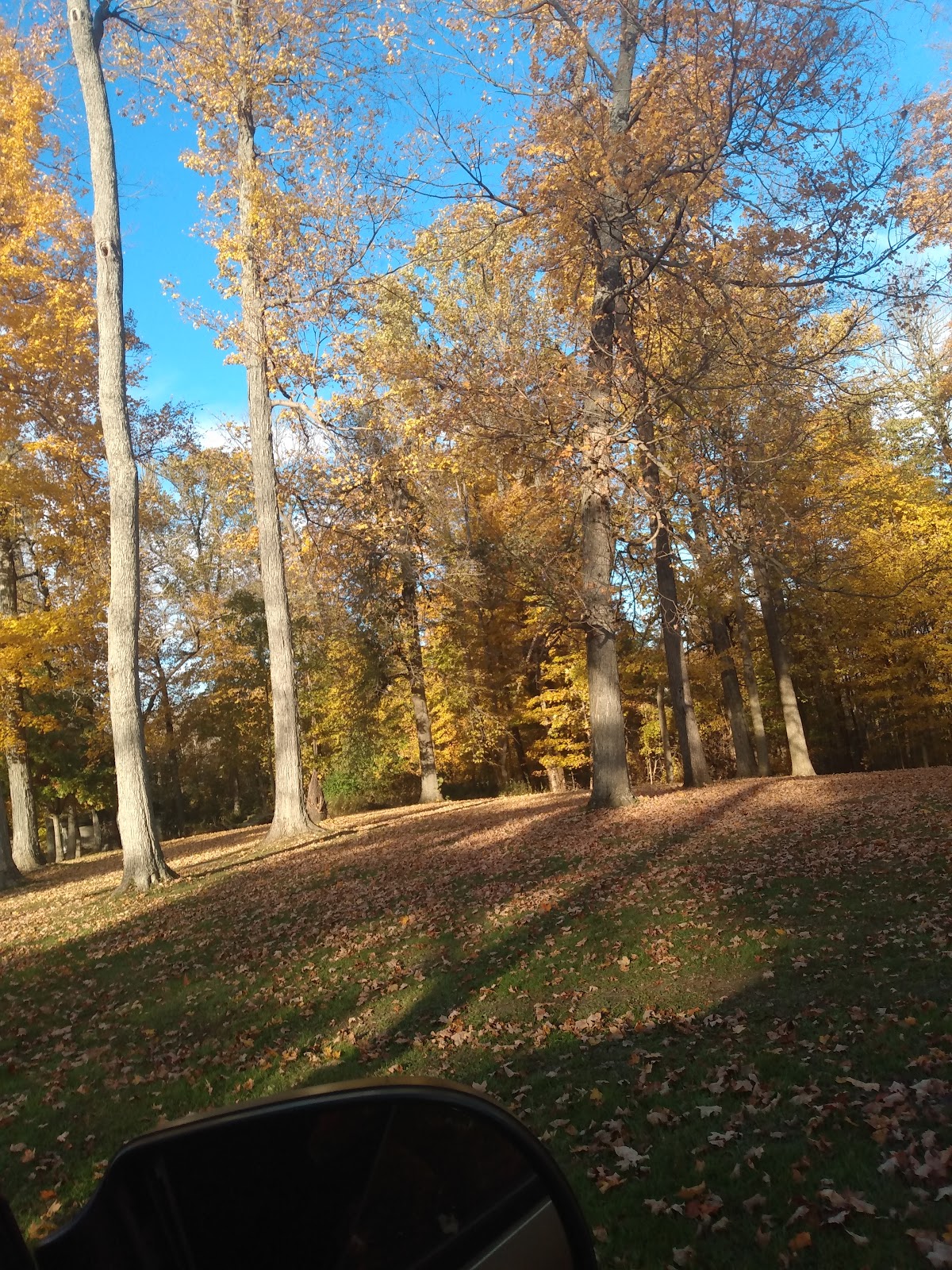 Manlove Park Camping