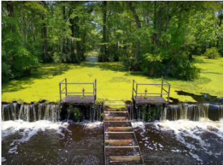 Merchants Millpond State Park