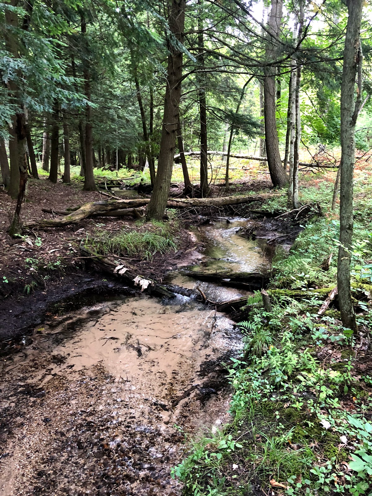 Old Grade NF Campground