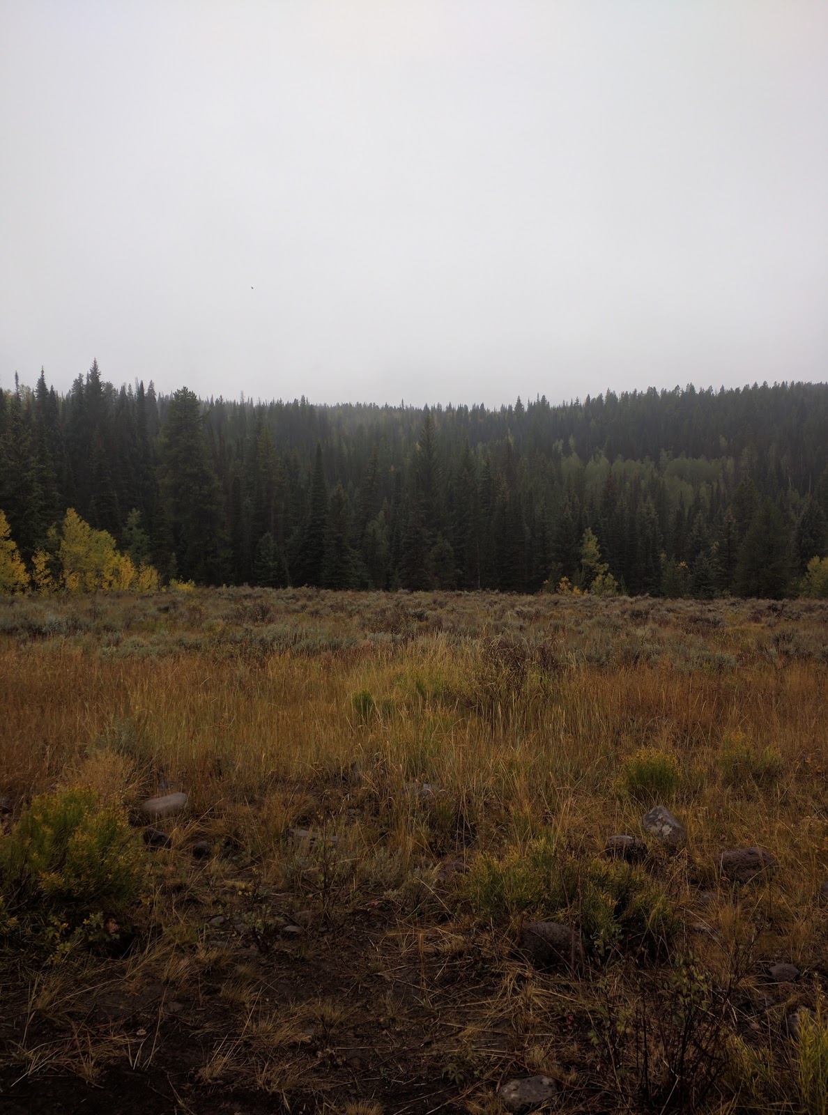 East Marvine Campground