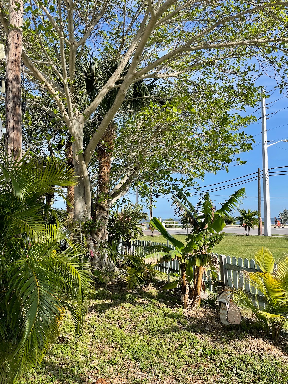 Indian River RV Park