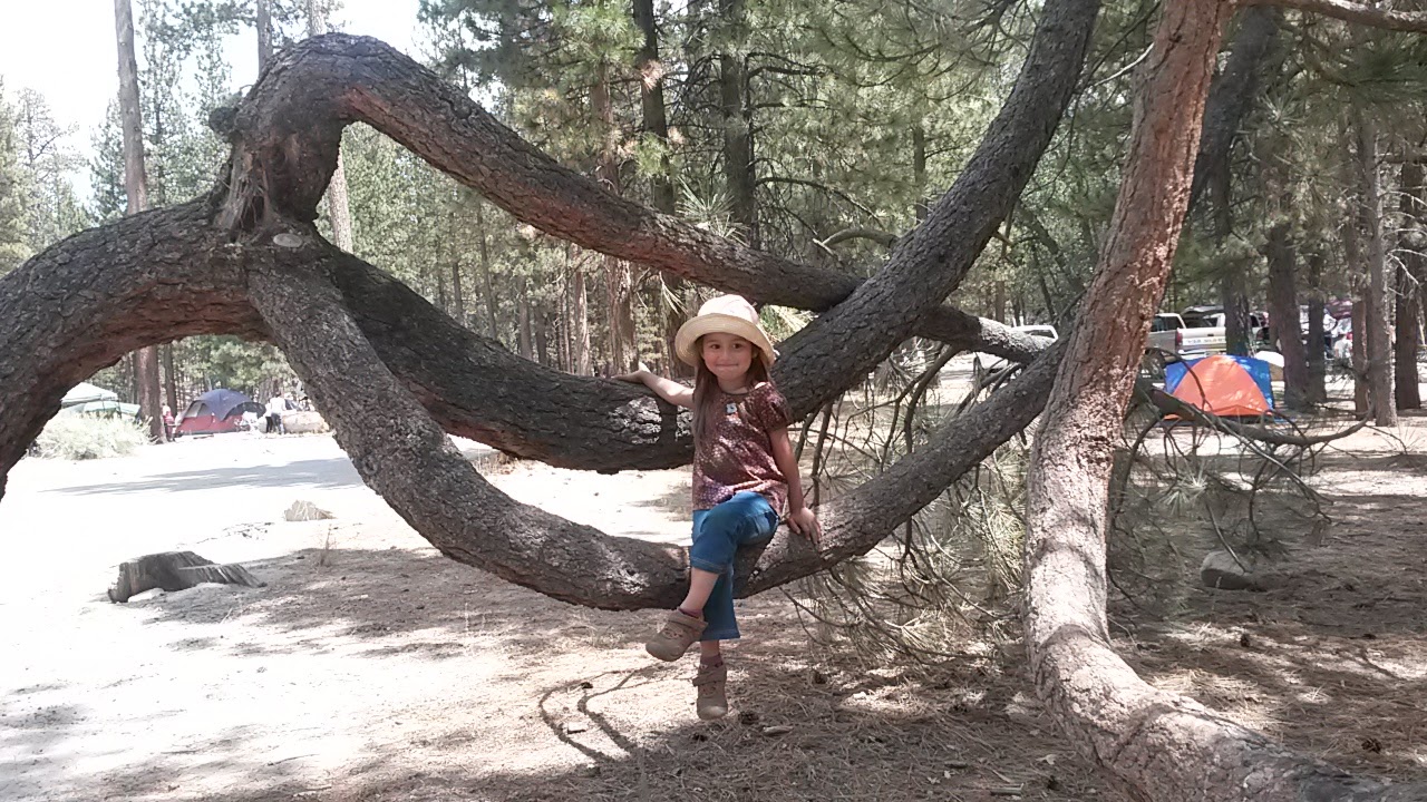 Coon Creek Group Campground