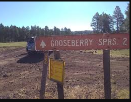 Gooseberry Springs