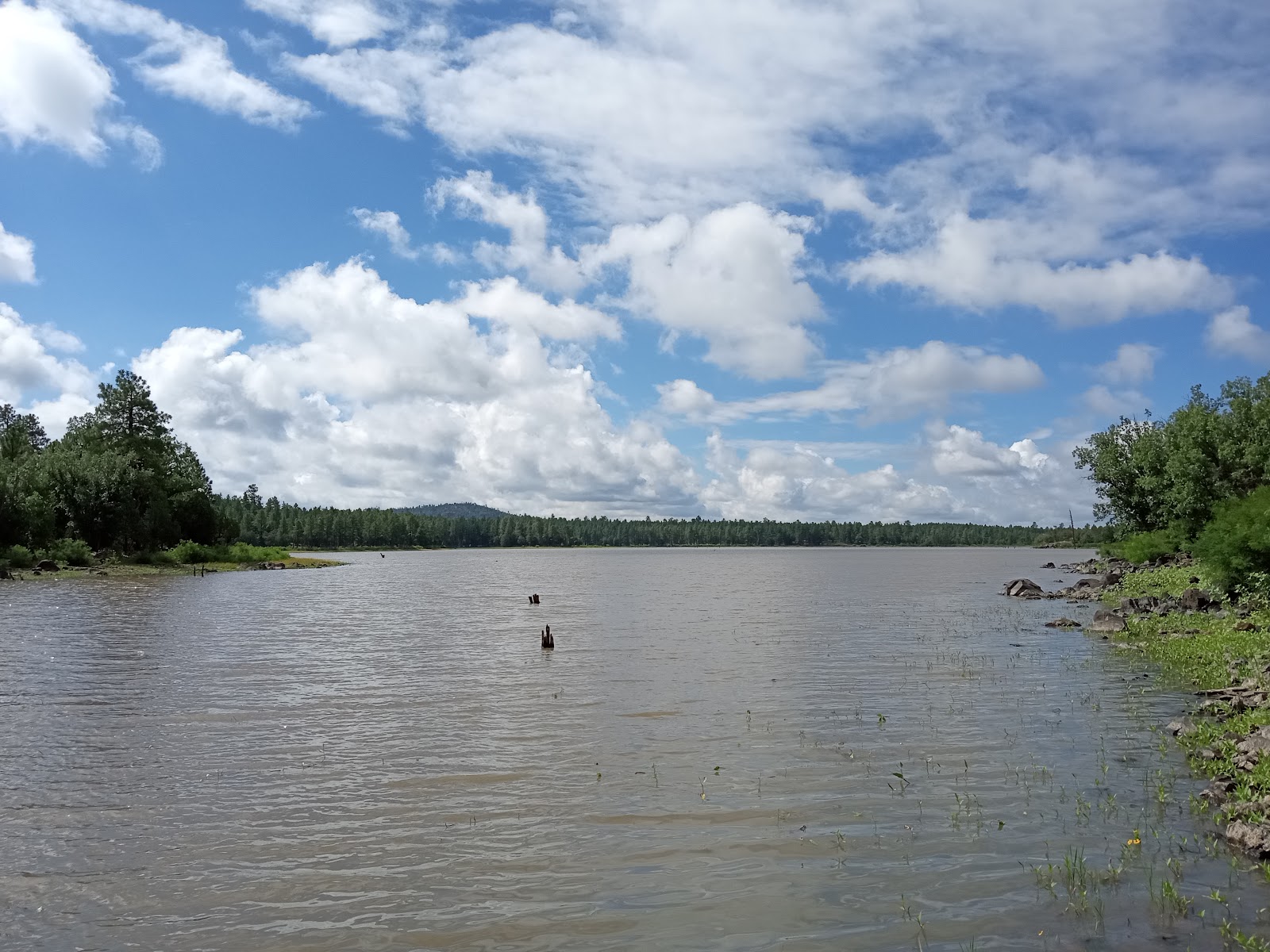 Scott Reservoir Campground