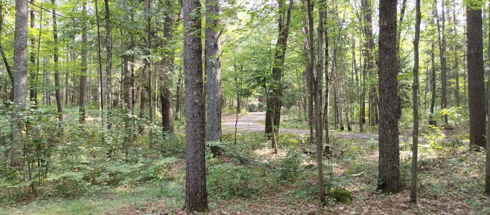 Lac Vieux NF Campground