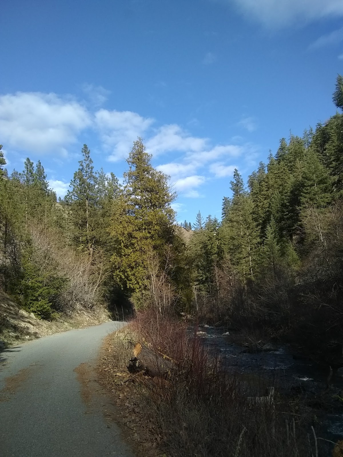 Pine Flats Campground