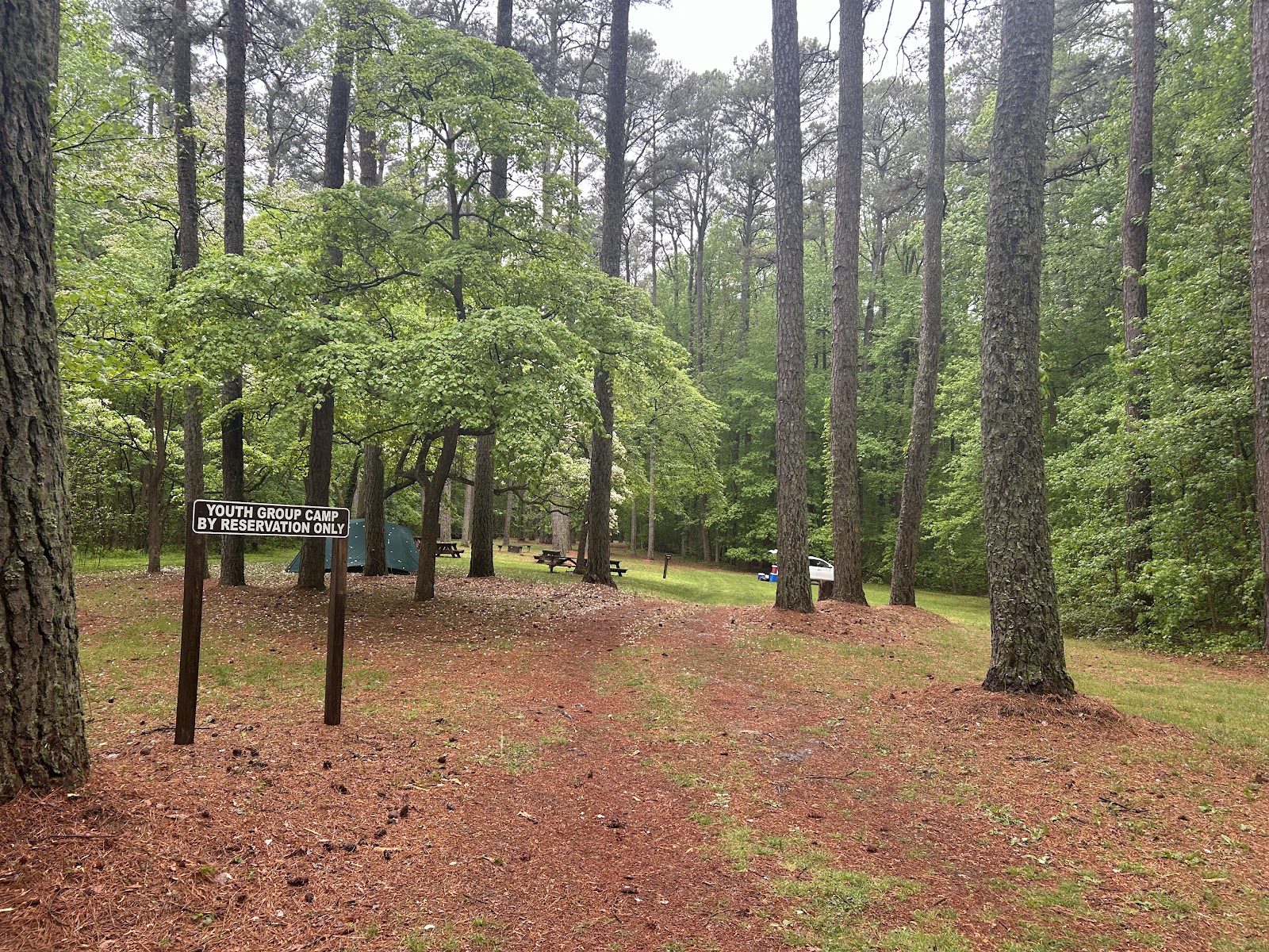 Milburn Landing Campground