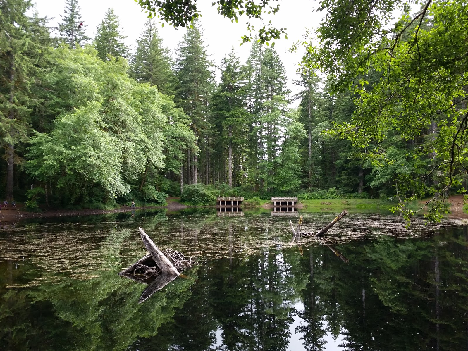 Hebo Lake Campground