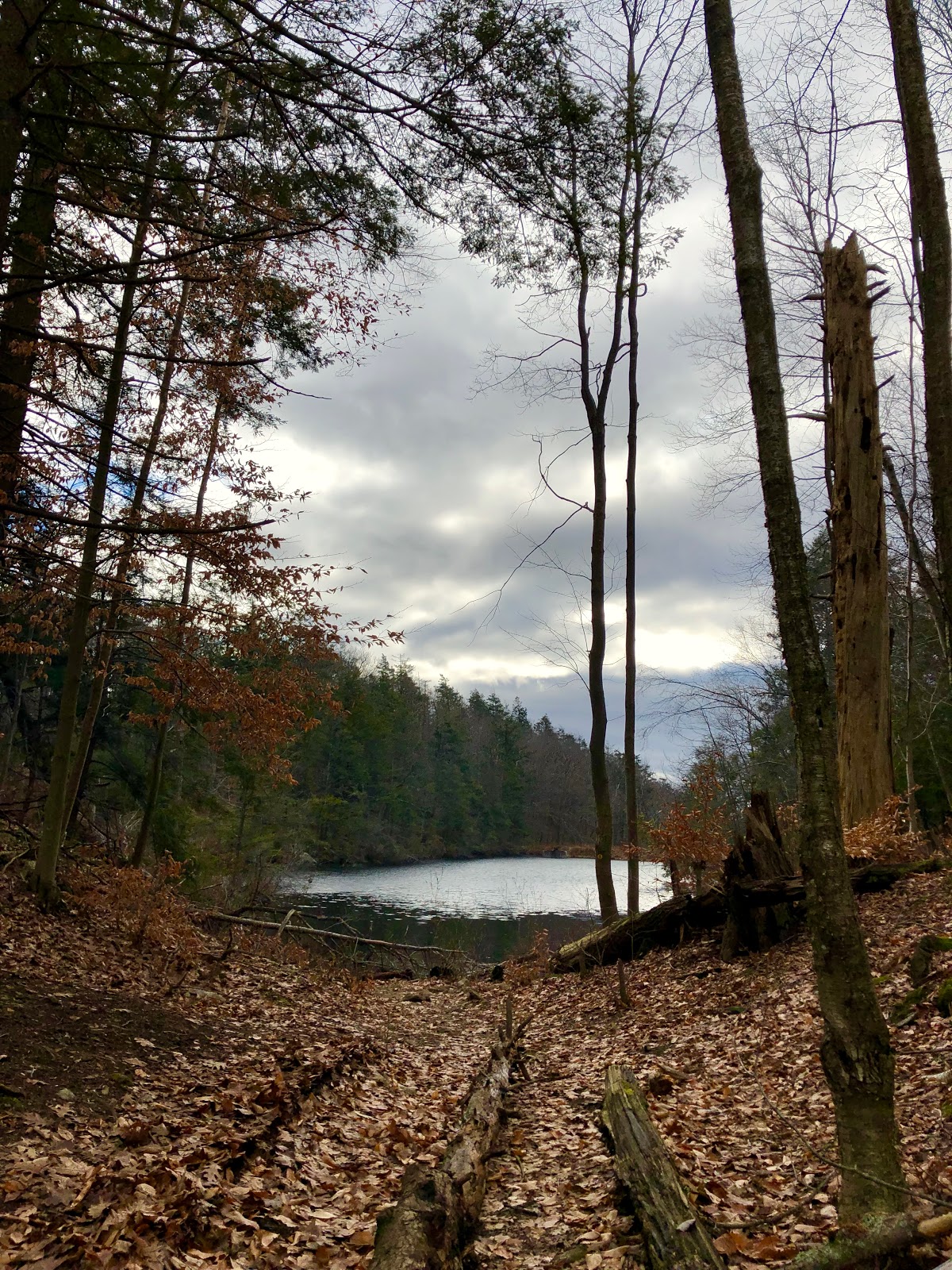 Pelton Pond - Clarence Fahnestock State Park