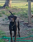 Darrell Brannon RV Park