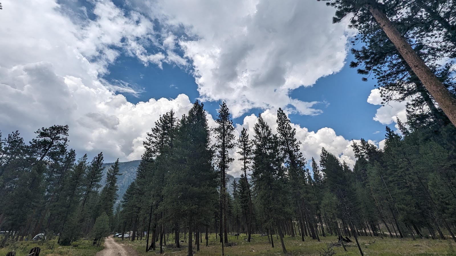 Yellow Pine Campground