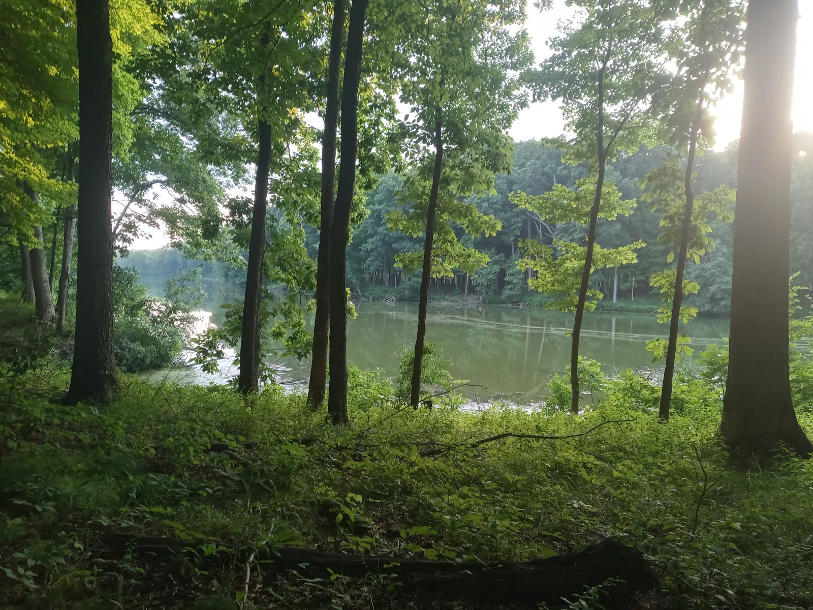 Walnut Point State Park