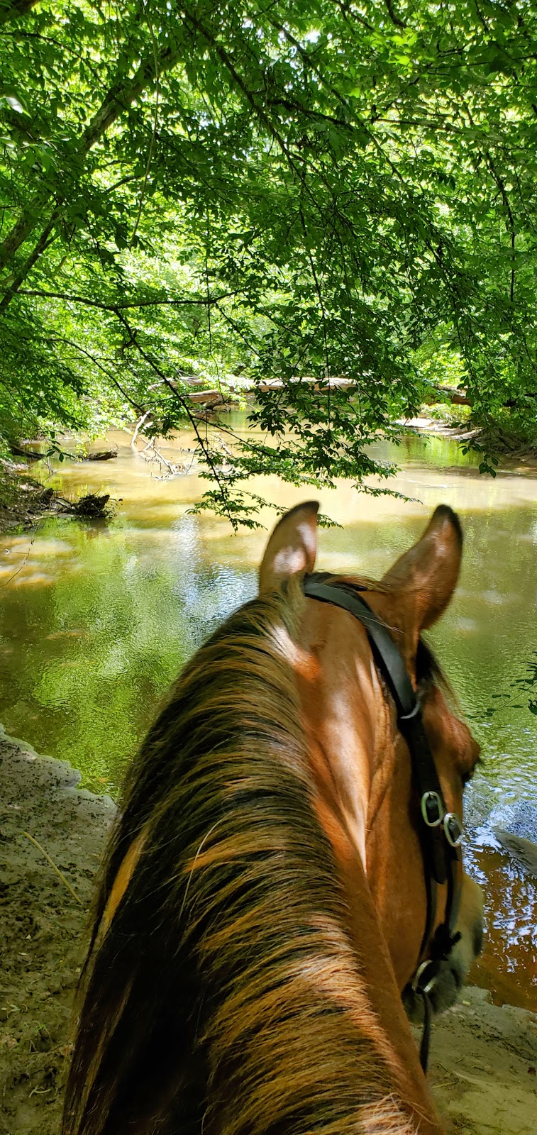 Fell Hunt Campground