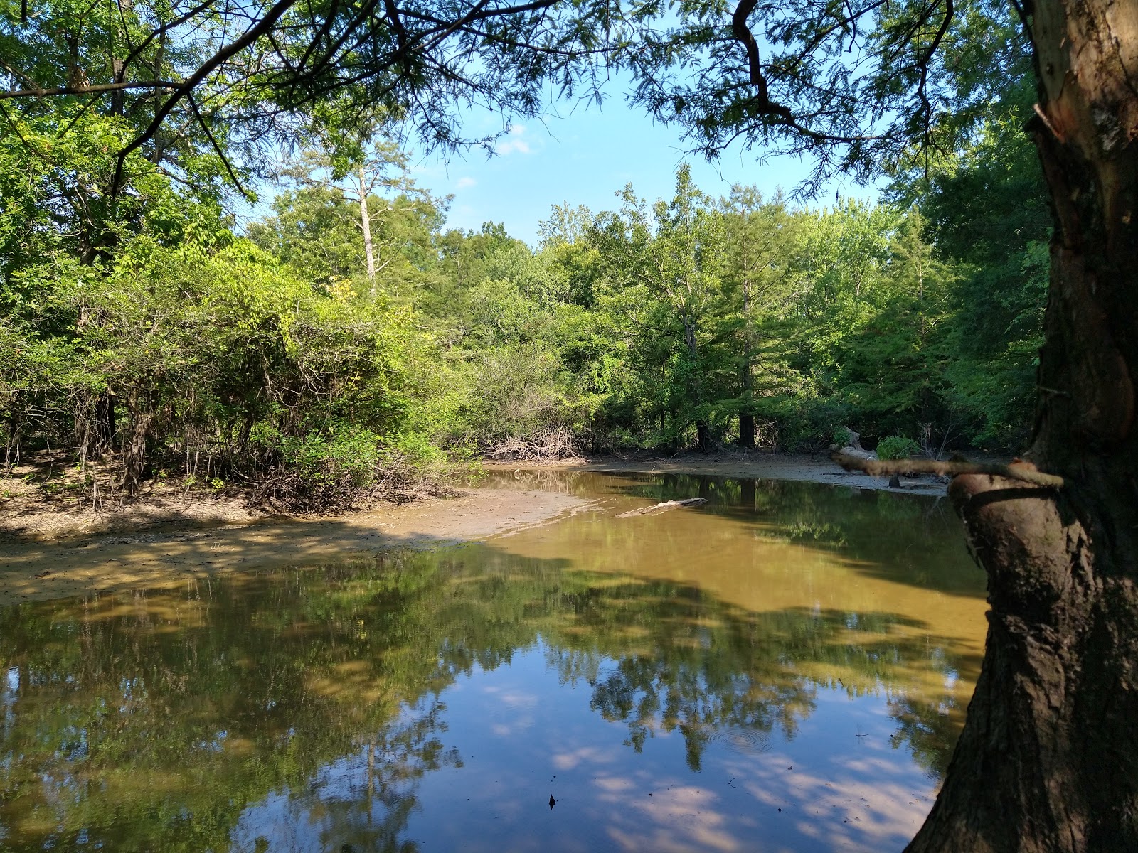 Bald Knob National Wildlife Refuge