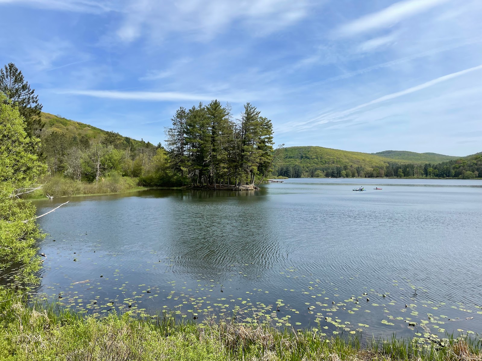 Allegany State Park (Red House Area)